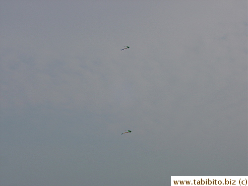 Flying kites in Dansui