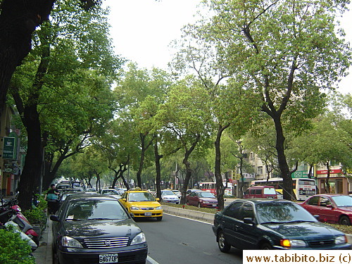 We took a stroll along the main street after our tea set, this tree-lined side street is quite pretty