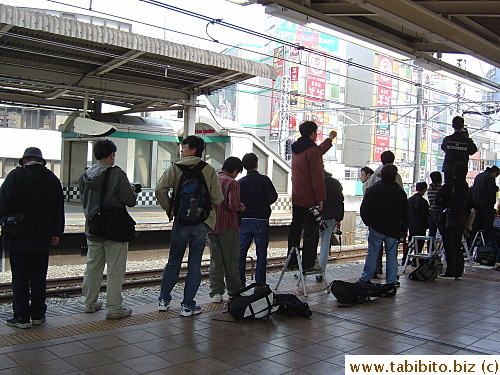 They're patiently waiting for their subject