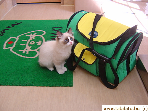 Look at those blue eyes!