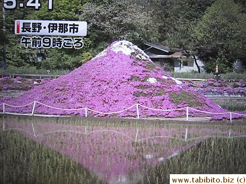 Mini Mount Fuji (1/1000 of the real mountain)