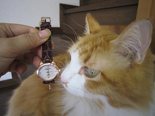 What do you think of the watch, Efoo?