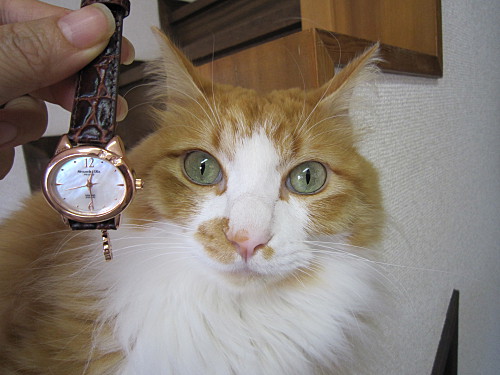 but the watch ain't that far off