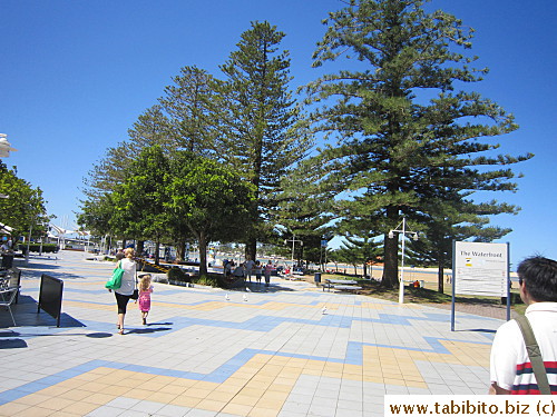 Pelican-feeding spot