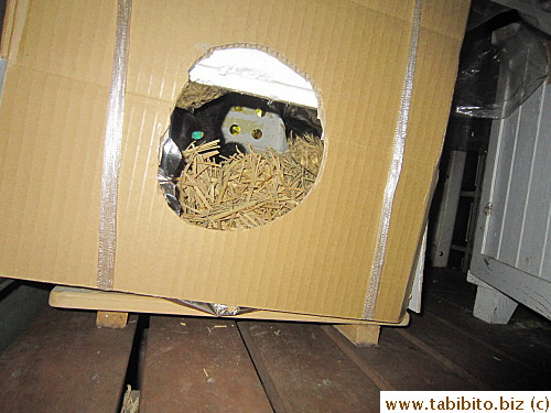 I wrapped the cat carry case with insulated (survival) sheet, topped it with a styrofoam box, and covered the whole thing with cardboard.  