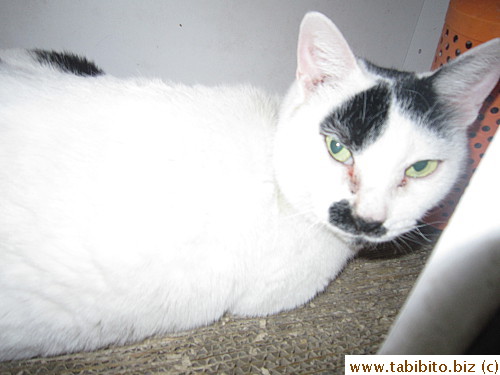 MT had her own heating lamp in her house