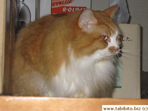 Either he's mad at us for leaving him