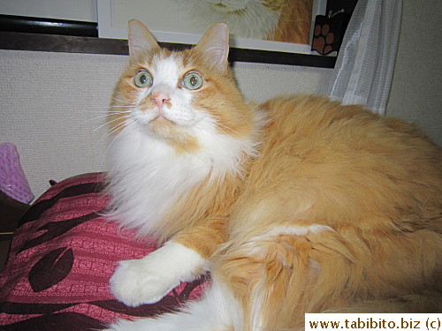 After about ten minutes, he's back to his usual self