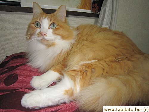 I did miss him very much in Taipei