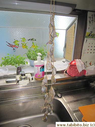 The dried gizzards are sold like this
