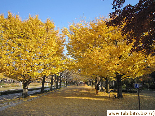 This is the most iconic place/path in the entire park